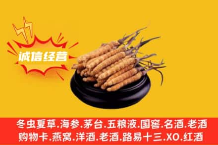 新会区回收冬虫夏草